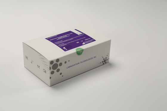 조기 치료를 위한 Labnovation 20 테스트 인플루엔자 AB 테스트 키트